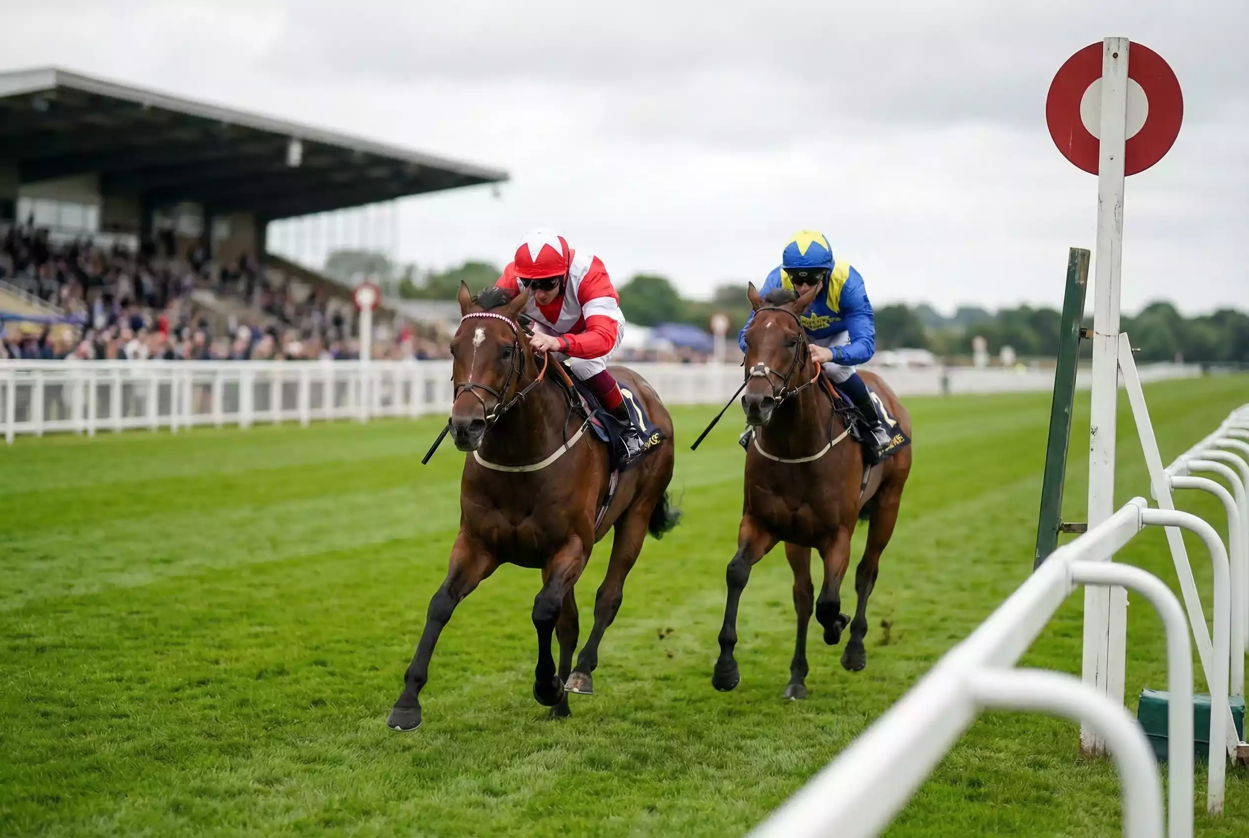 Erklärung von Siegwette und Platzwette bei Pferderennen mit Quotenbeispiel